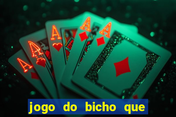 jogo do bicho que paga no pix